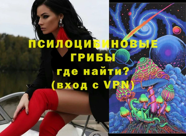ГАЛЛЮЦИНОГЕННЫЕ ГРИБЫ Балахна