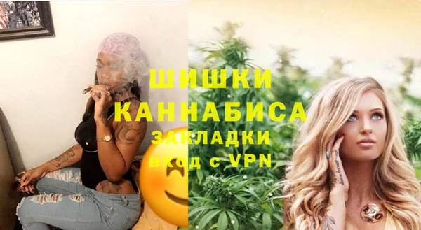 сатива Армянск