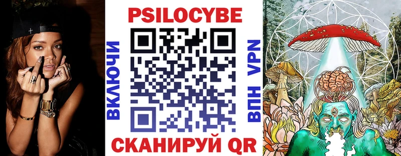 Псилоцибиновые грибы Psilocybe  дарнет шоп  OMG сайт  Карачев 